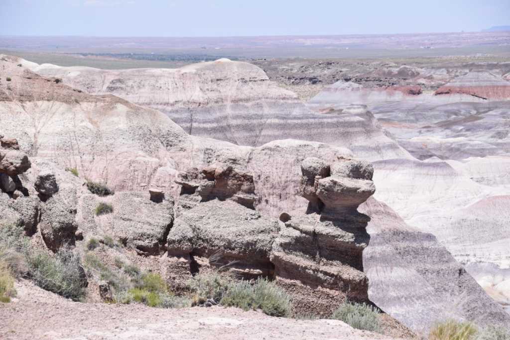 DSC_0091Mittel_.JPG